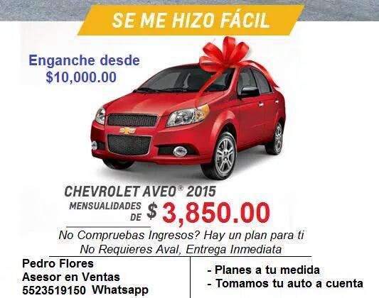 Pedro Flores tweet media