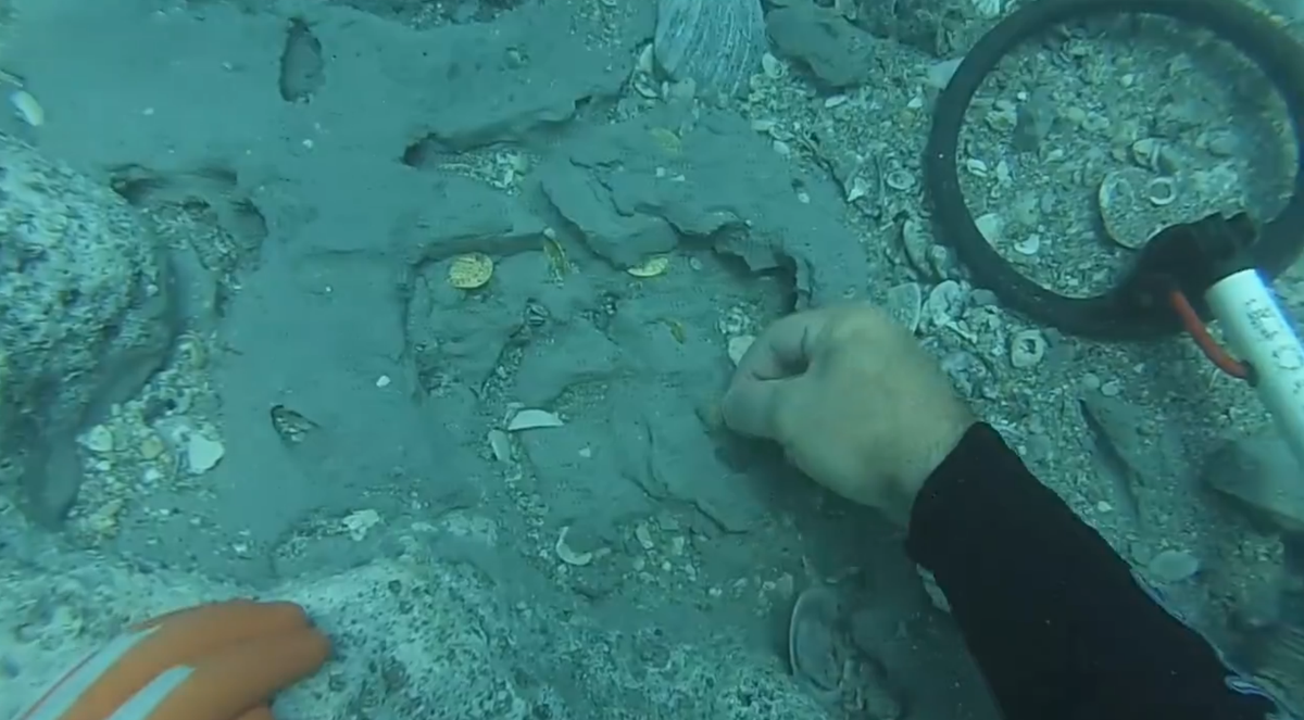 Sanford treasure hunters find $1M in gold off Florida's coast thesent.nl/1DKqfMo