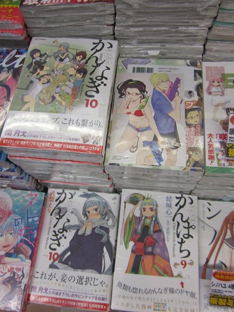 アニメイト長野 على تويتر 書籍新刊情報 Servamp 8巻アニメイト限定版 Wカバー仕様でお値段据え置き かんなぎ10巻 通常版 特装版 王室教師ハイネ4巻 好評発売中ナノー Http T Co Dqet3s3hvf