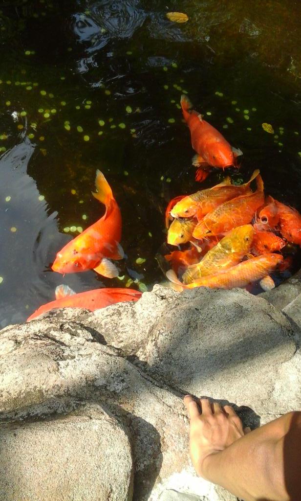 Ayuditamaxprillvers On Twitter Di Taman Safari Gembira