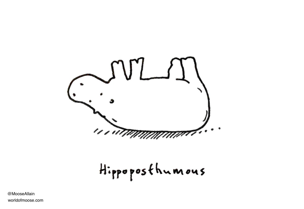 MooseAllain's tweet photo. Hippo http://t.co/KYByoakCK5