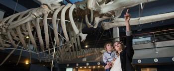 VisitCantabria's tweet image. Plans to do #WithChildren in #Cantabria ? Check this post we've made specially for you turismodecantabria.com/comunidad-viaj…