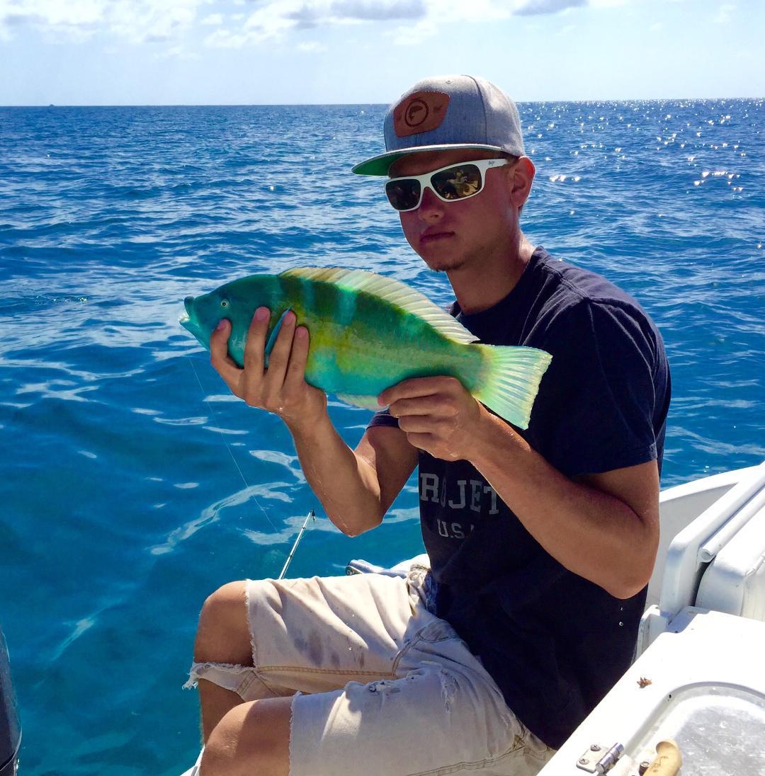 JackWadding's tweet photo. Probably the prettiest fish I have seen patriot fish in Islamorada #loveit #want2goback http://t.co/LVjuWX5yUI