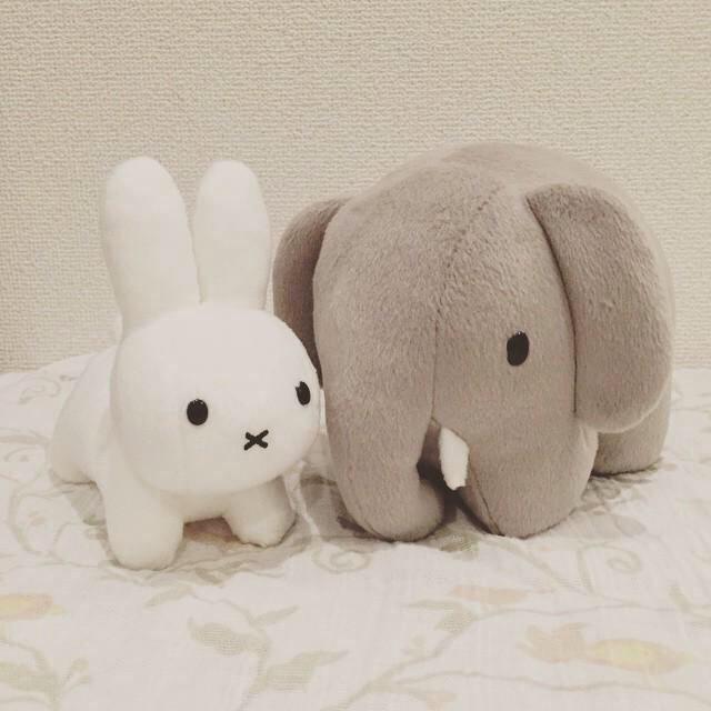 Siro_WIB's tweet photo. @Flower_WIB http://t.co/rnJ2grFlGO