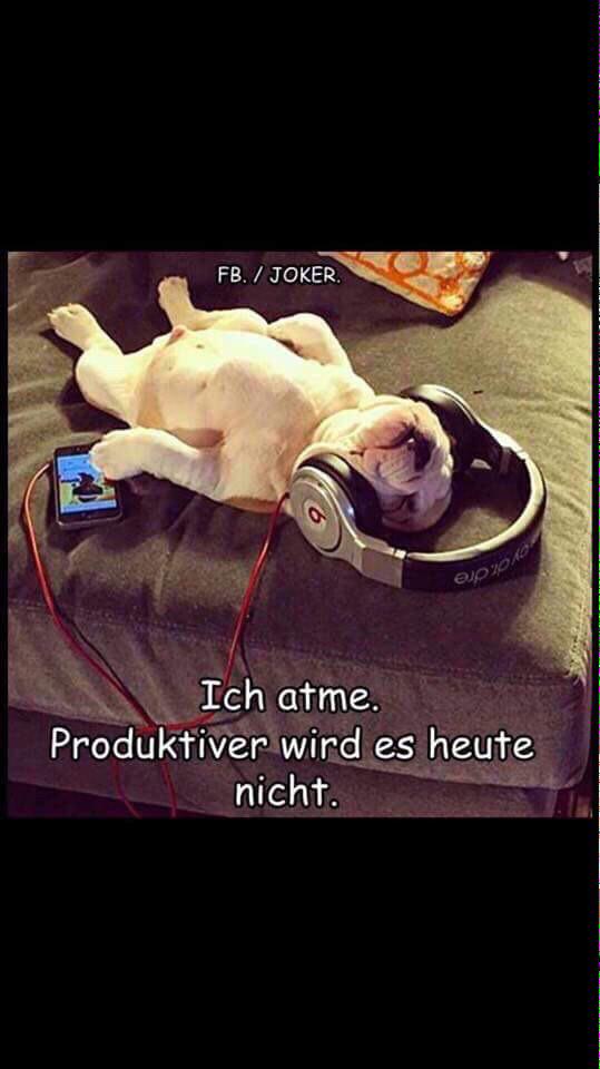 selina_122's tweet photo. Guten morgen 😘😄 http://t.co/pc9kWvVNu9