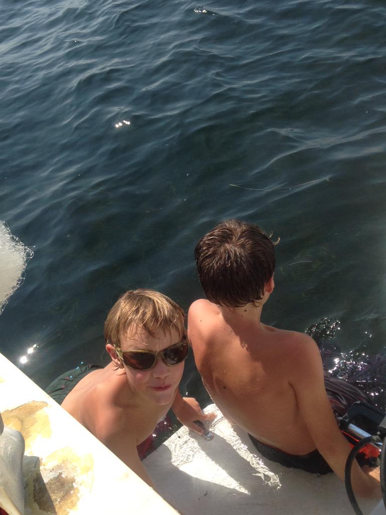 SimpleHunting's tweet image. 