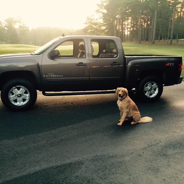 wallygresham's tweet photo. A clean truck and mans best friend!! @chevrolet @TeamChevy #gradyboy http://t.co/aRZX7uRpFY