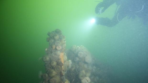 CBCNews's tweet photo. Pictou Harbour underwater expedition uncovers mystery wreck http://t.co/8JsPzDnPuo http://t.co/qYJQEm1M36