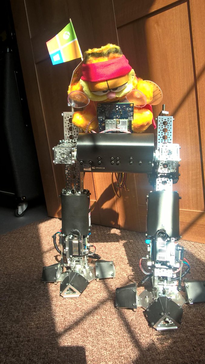 simonjen1's tweet photo. #Epic week ahead in the world of @Windows... OK @msdev & #IoT bot #NinjaCat, let's DO this...! #Windows10 #WinBuilder http://t.co/TU3UUK7EjH