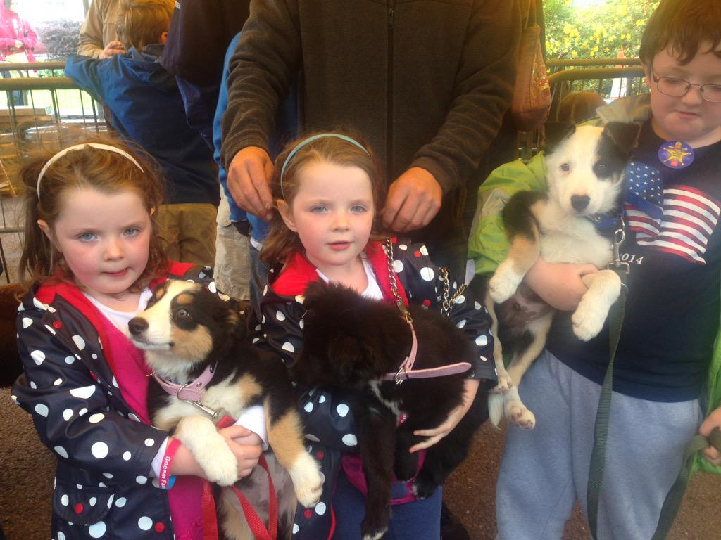 Pet show in festival tent with cookie, sooty &amp; major