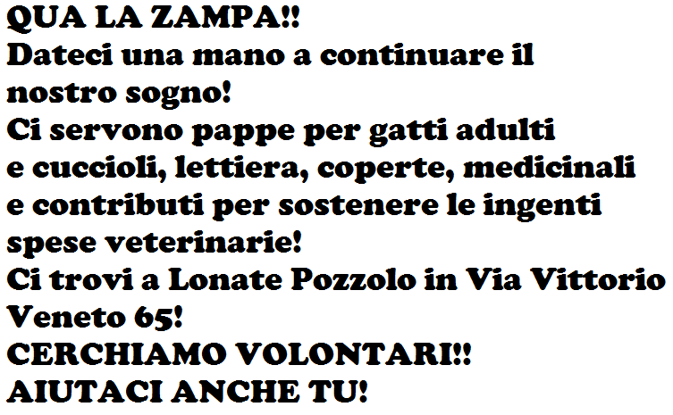 julylovescat's tweet photo. Bella serata ieri! Moh però mi devi un retweet! :)

Aiutiamo gli animali:
http://t.co/OopCzovjc4

@realBrusco http://t.co/Br6pl8TOos