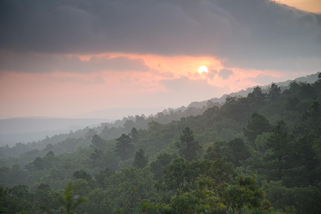 TravelOK's tweet photo. #StateParkSunday There's never a bad time to explore beautiful Talimena State Park! http://t.co/CuVVxQwY84 http://t.co/KBaRB5tvLq