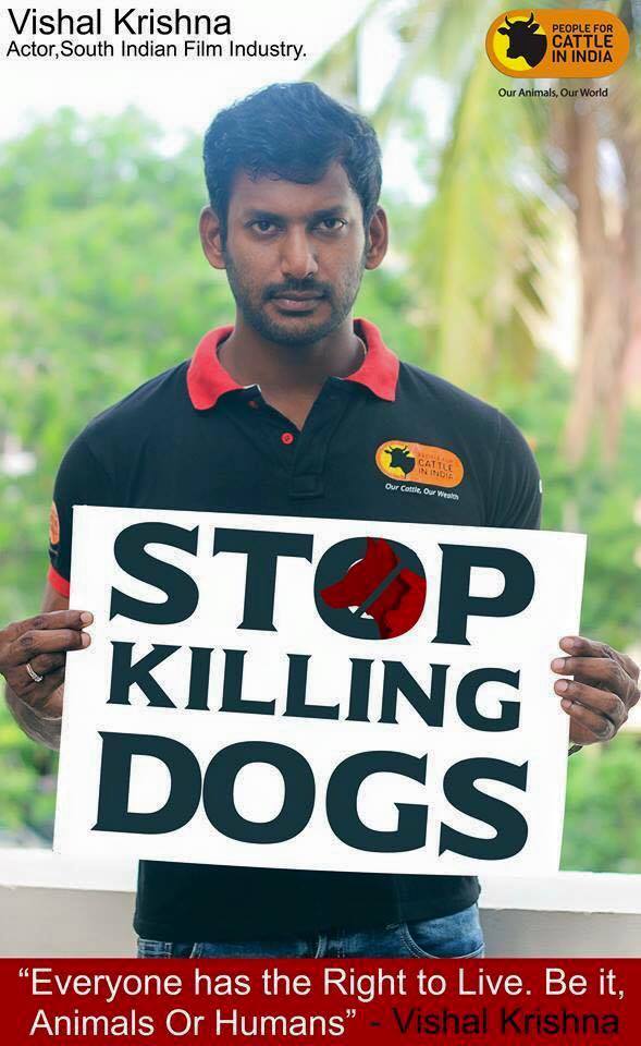 kheifa3's tweet photo. #ActorSibiraj voices out on Mass Culling of #Dogs #Kerala
https://t.co/3bnOGz21Y8
#PFCI
#DogsWelfare
#AnimalActivism http://t.co/x5QwSEnGXS