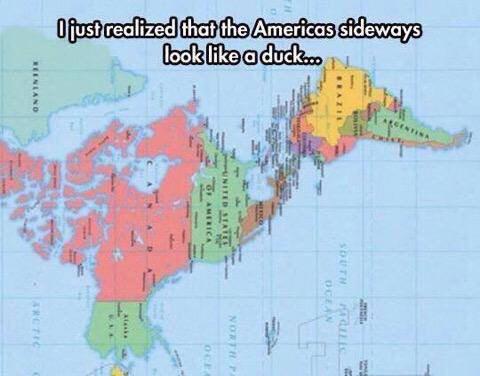 School never teaches us the important things!! 😎 🐤