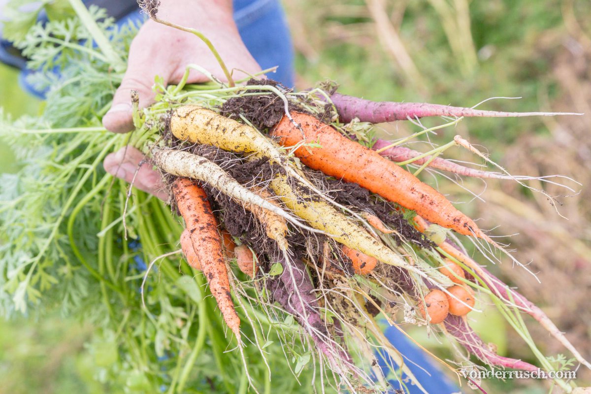 vonderrusch tweet media