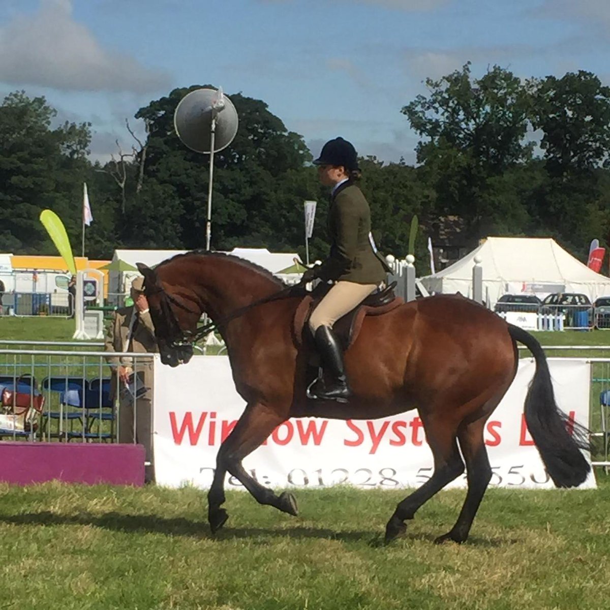 CartmellsDFlynn's tweet photo. Lovely pic of competitor in #RiddenHunter class @PenrithShow yesterday @Cartmells @CartmellPenrith http://t.co/UNzzHBXDTB