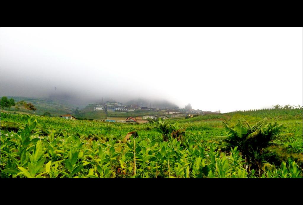 BagasPikatan's tweet photo. desa butuh..desa dikaki #Gunung #Sumbing

#Magelang http://t.co/ENEb5LL4q2