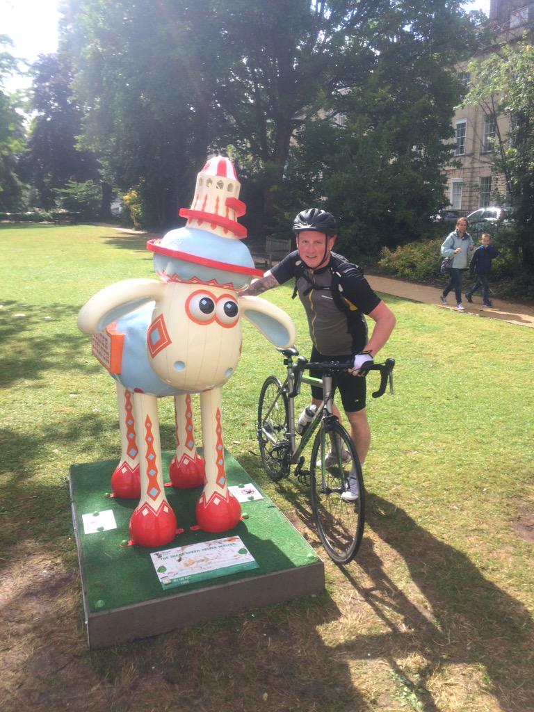 kevin mead tweet media