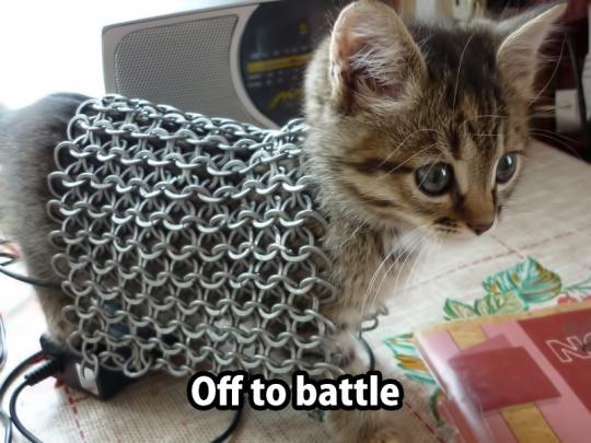vKnell_'s tweet photo. When you start a game as a level 1 warrior. http://t.co/U0bD86ymc9
