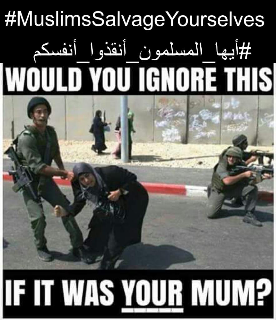 #AlAqsaUnderAttac #AlAqsa #Apartheid #FreePalestine #Jerusalem #BoycottIsrael #MuslimsSalvageYourselves 

I doubt it!