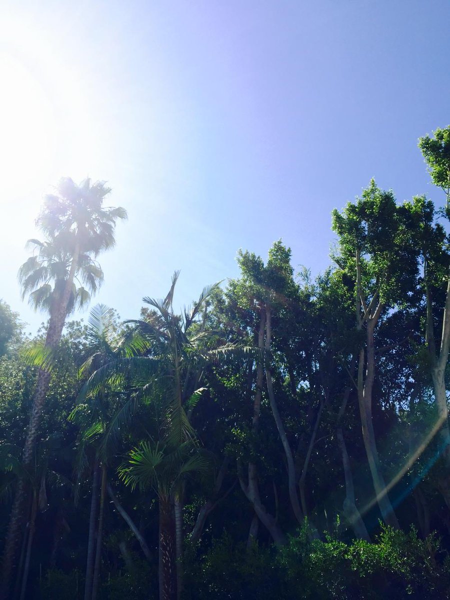 OneRepublic's tweet image. Back in Cali 😎