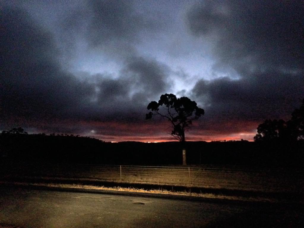 cactusian's tweet image. @smalldogbiglife Then there was this a few minutes later with the car headlights ... #MyFrontDoor #MyFrontGate