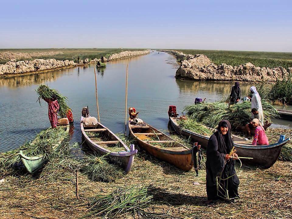 IraqPics's tweet photo. The Marsh Arabs of southern Iraq use marsh reeds as raw material for making reed houses and daily use 
#Iraq #العراق http://t.co/xiPKxvz98D