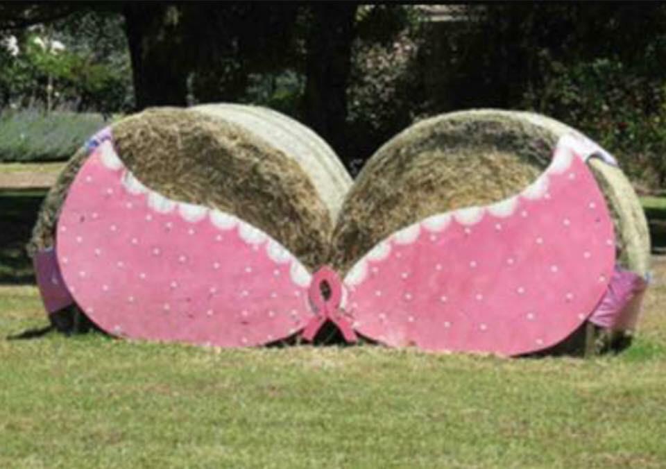 Please share get this at least 100 retweets! #Cancer #breastcancer <a href="/CancerChangeMov/">Somerset Cancer</a> <a href="/CR_UK/">Cancer Research UK</a> #westcountryqualitymeat