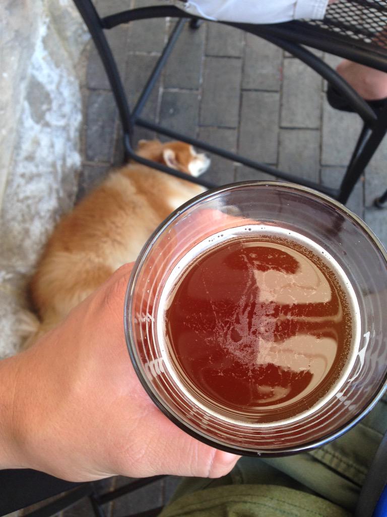 MIbeertaster's tweet photo. Blood Orange Wheat from @FarmingtonBeer + they let Dogs on patio! #destinationbeer @MacCocktail @rcmays http://t.co/kPco4TjXdE