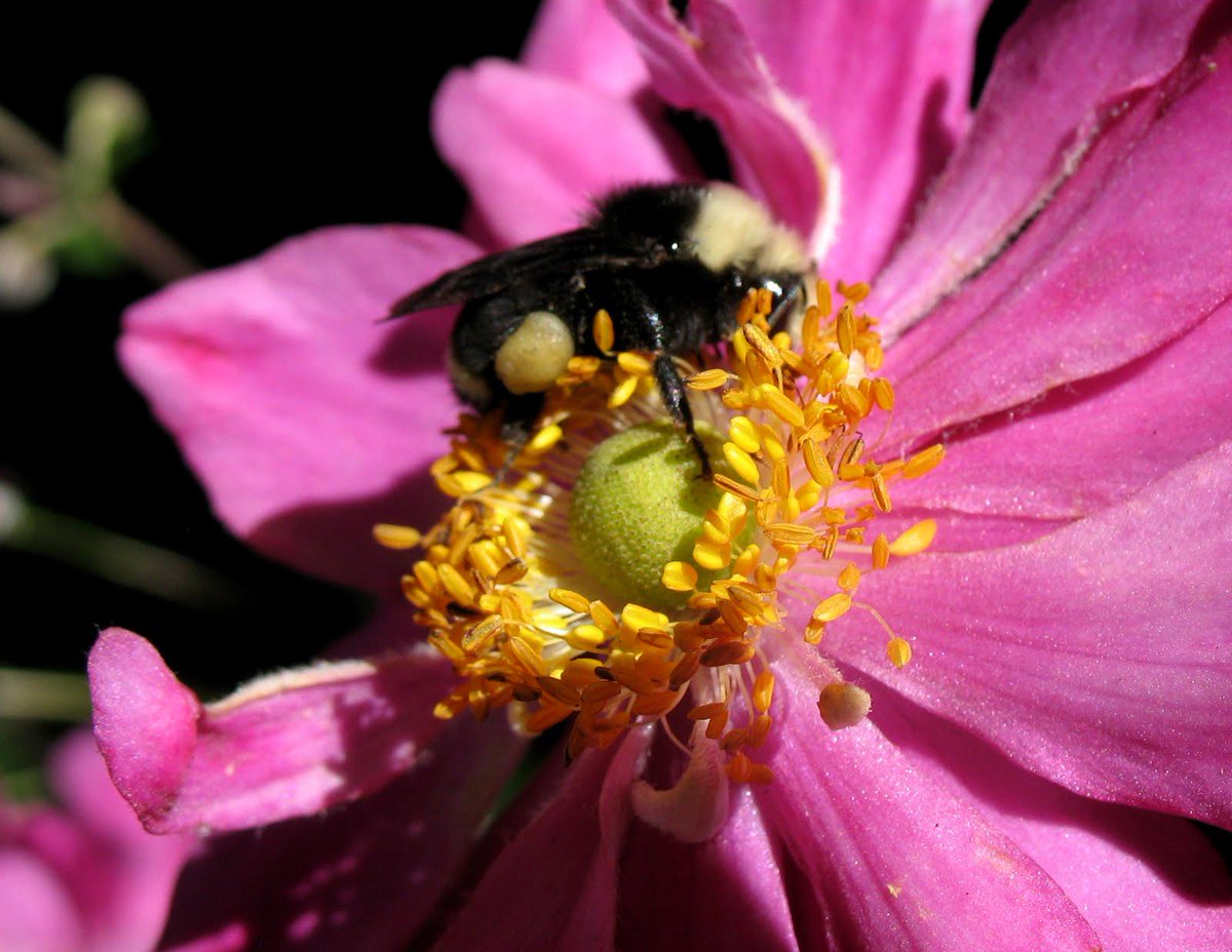 <a href="/promptio/">Promptio</a> Photos taken in Santa Cruz, CA