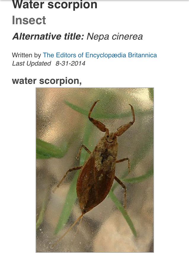 Miranda Francis tweet media