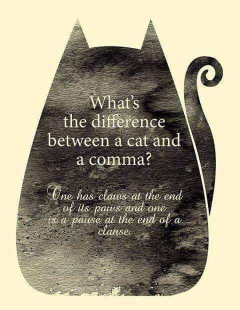 Bad #joke of the day: What's the difference between a cat and a comma?