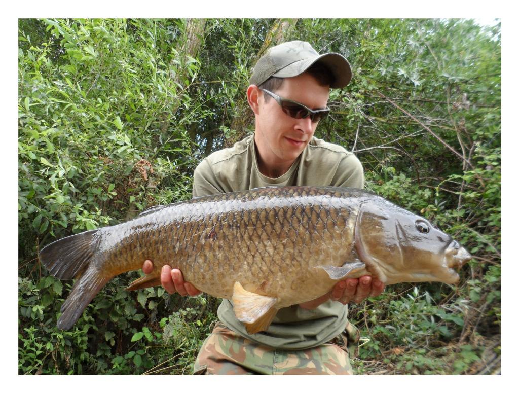 Rob Johnson tempted this common with some tasty coconut cream.