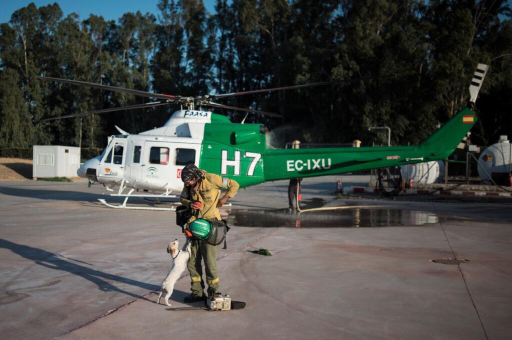 LA FOTO: un gesto cariñoso al llegar a base tras una jornada de fuego en #IFElRonquillo Brica Malaga <a href="/Plan_INFOCA/">EMA INFOCA</a>