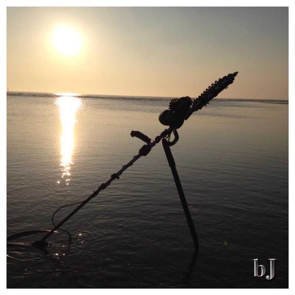 SPerdus's tweet image. 