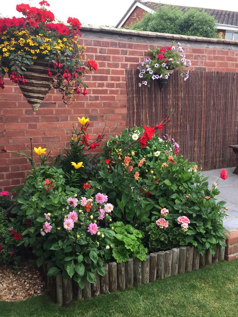 Best time of year🌻🌴🌳