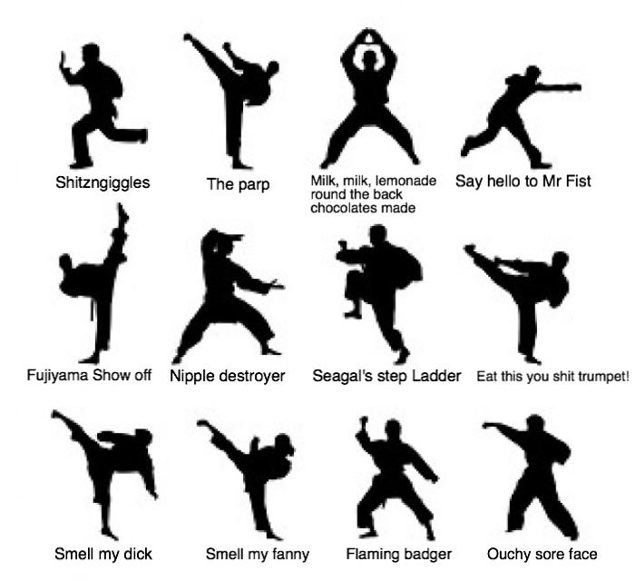 good karate moves good karate moves
