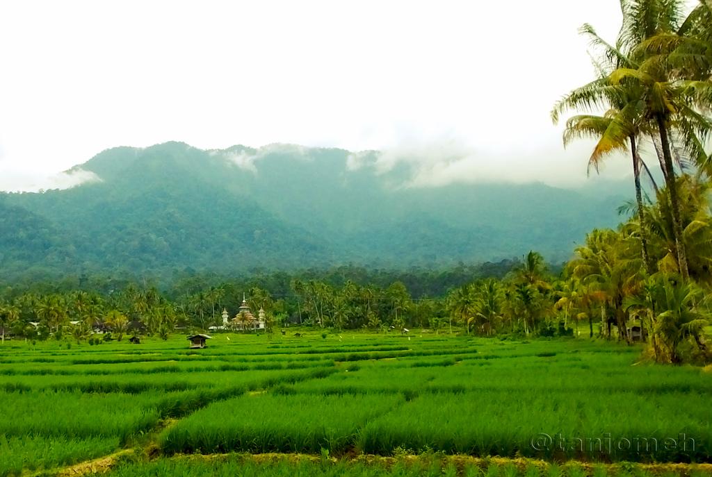 roniekaprasetya's tweet photo. Rancak Bana ^_^"@GNFI: Kampung Buya Hamka di ranah minang, Sumbar. http://t.co/XMmzmgmeEW | photo by @tanjomeh"
