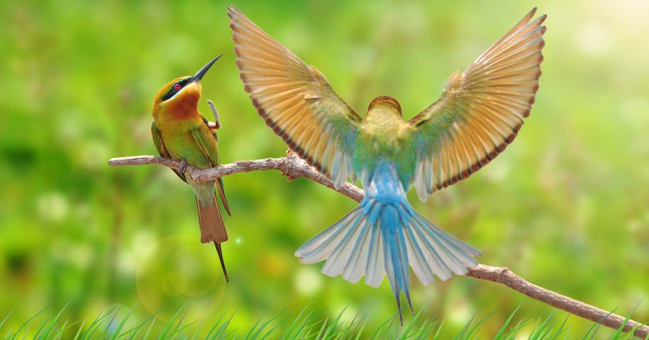 Yüzyıllardır iki çeşit insan var;
Kolayına kaçanlar...
Ve asla pes etmeyerek sınırları aşanlar.