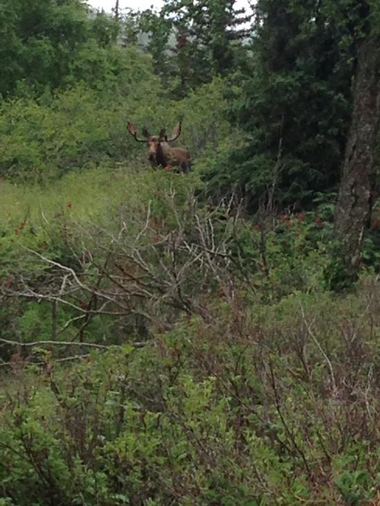 Corrie Whitmore tweet media