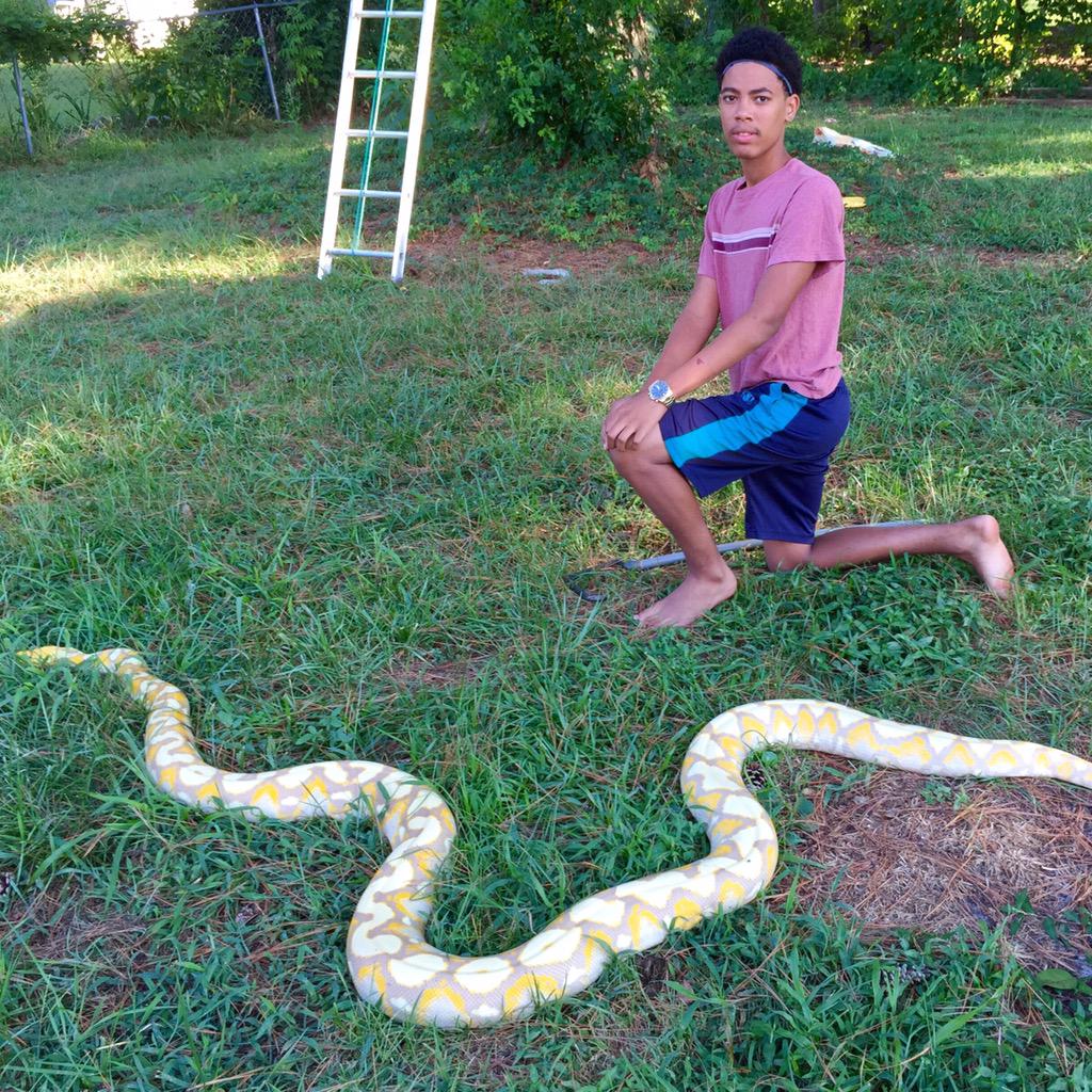 CBBDnE's tweet photo. My son with my friends big retic. http://t.co/FjNlPYFPE9