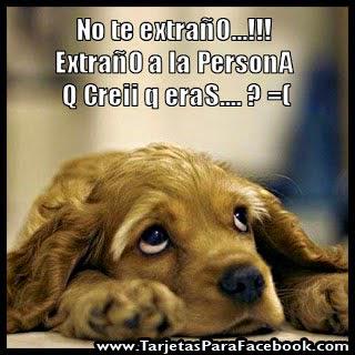 Diablilla (@mpvcivera) on Twitter photo 