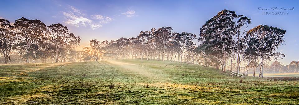 southaustralia's tweet photo. Monday morning - yuk! Our #SouthAustralia Brag Board will cheer you up. Pic: Emma Fleetwood http://t.co/EK66EhVvQG http://t.co/pBkK3cAtIX