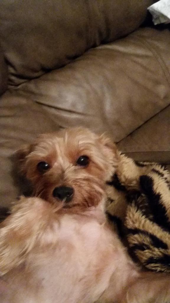 Badhaircut Hashtag On Twitter