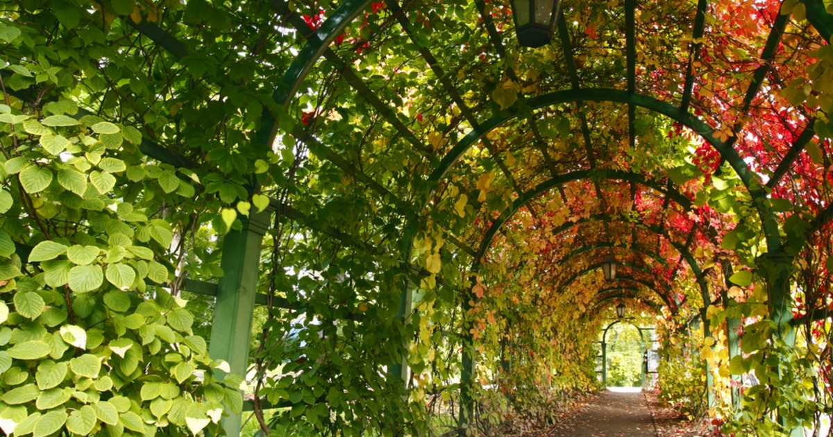 MortgageCapital's tweet photo. This week's posts are all about garden structures. Subscribe to be the first to see: https://t.co/FB22QQwv4x http://t.co/FVlgRlcXC7