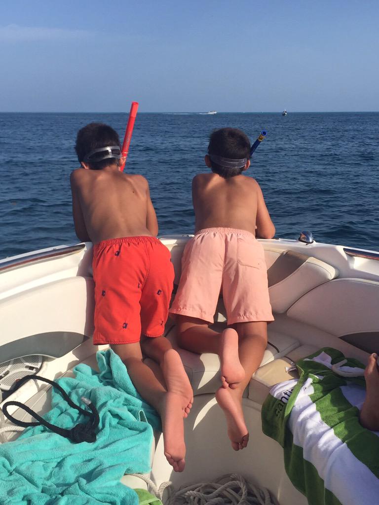 c_albert72's tweet image. 