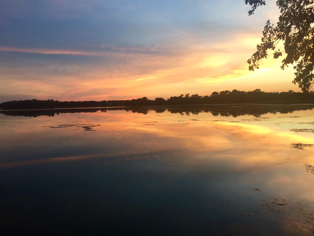 PropertyVision's tweet image. Perfect end to a perfect weekend.