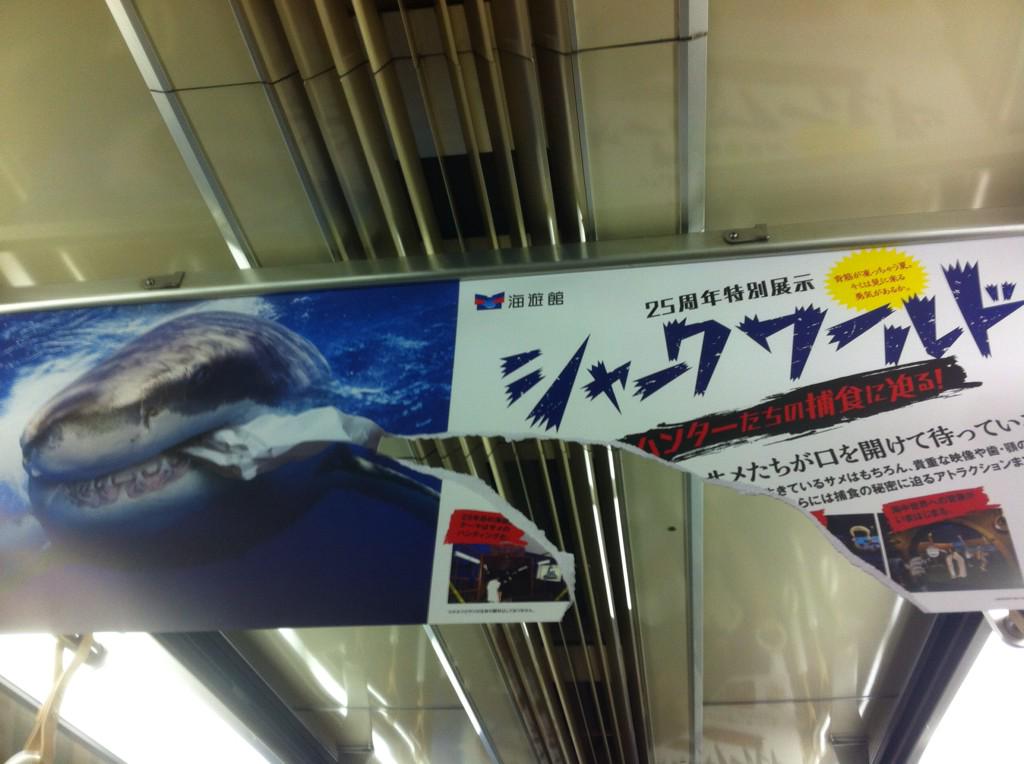 Nobuko Tsugami 海遊館の吊り広告 面白いアイデアだけど 私の乗った車両の人はほぼ誰一人気づいてなかった 残念 表はジンベエザメうらはノコギリザメ Http T Co Ygdqfl2qjk