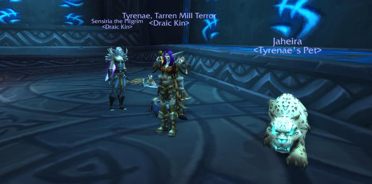 CeleryJaguar's tweet image. Classy Nelf DK #Level70, only 15 to go. #ClassyNightElf  #Warcraft!