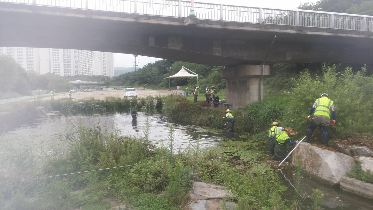 kyh8897's tweet photo. 폭우로 #성남시 수내 습지생태원이 범람하여 복구작업이 한창입니다. 작업이 잘 마무리되어 깨끗한 모습을 되찾았으면 좋겠네요. @seongnamcity @yuns93 http://t.co/XLHHmTwdAc